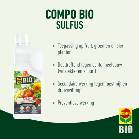 compo image