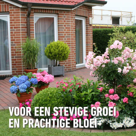 compo image