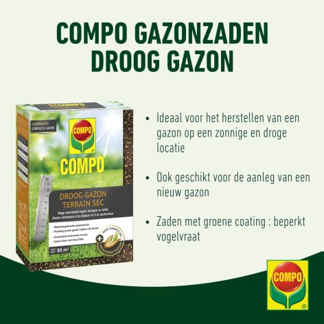 compo image