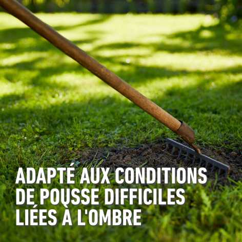 compo image