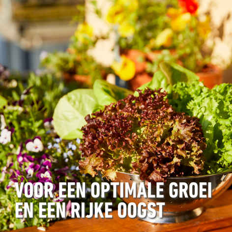 compo image