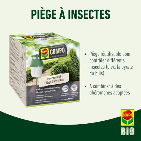 compo image