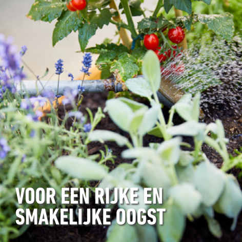 compo image