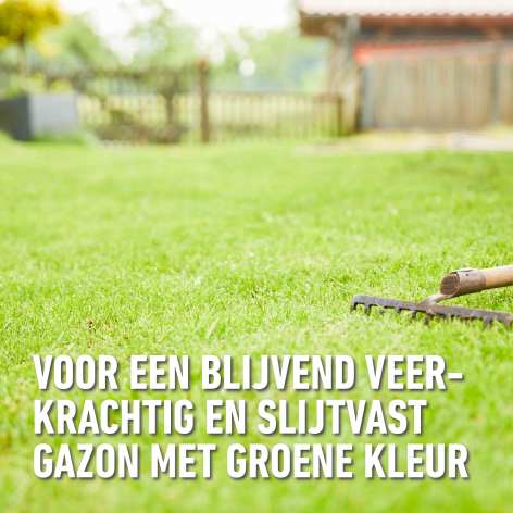 compo image