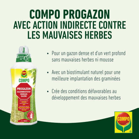 compo image