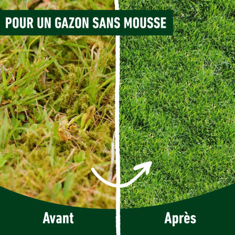 compo image