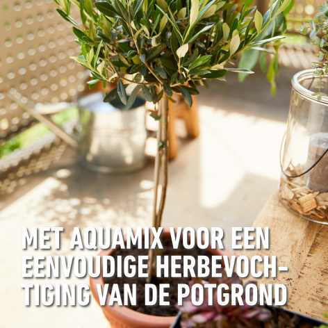 compo image