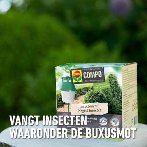 compo image