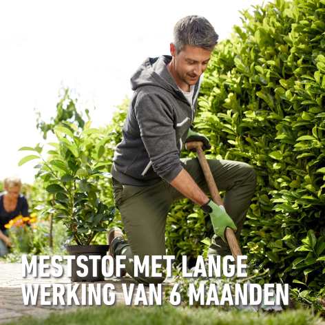 compo image