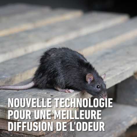 compo image