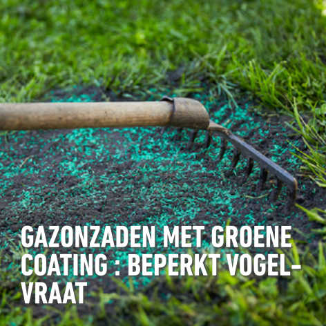 compo image