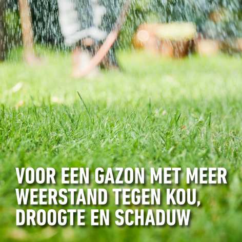 compo image