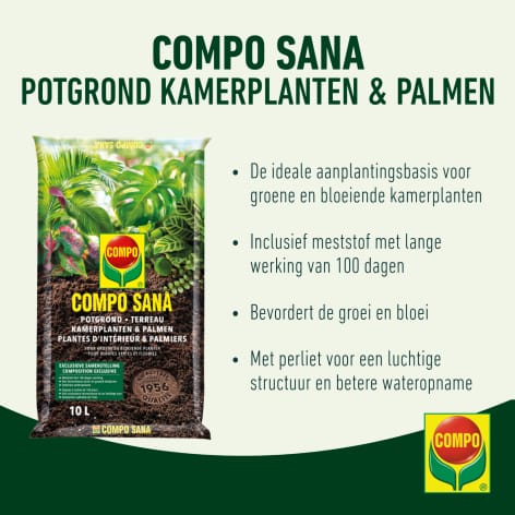 compo image