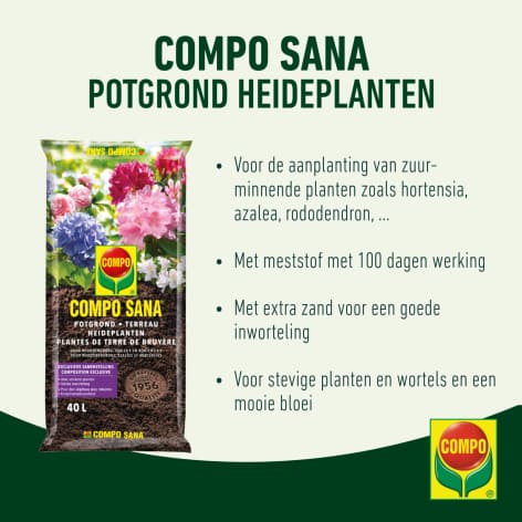 compo image