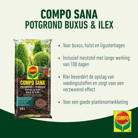 compo image