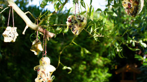 Selbstgemachtes Vogelfutter