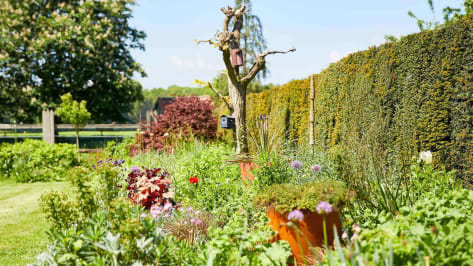 hecke-garten