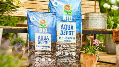 Zwei Säcke COMPO BIO AQUA DEPOT Universalerde in verschiedenen Größen