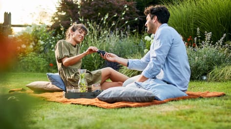 picknick-rasen