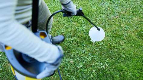 COMPO Rasenunkraut-Vernichter Banvel® Quattro wird mit einer Spritze auf den Rasen aufgebracht