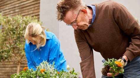 Mann und Frau bepflanzen einen großen Blumenkuebel auf der Terrasse