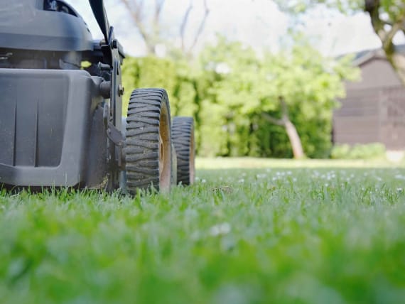 mowing lawn