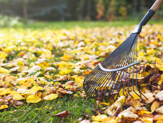 prato autunno