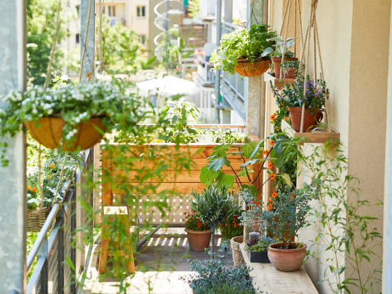 balcony in summer