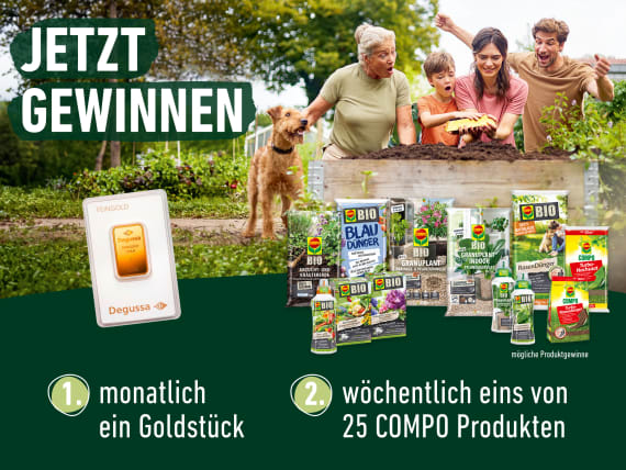 Gewinne-Online-Gewinnspiel-Goldjagd_final