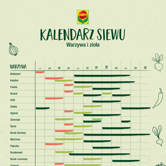 compo image