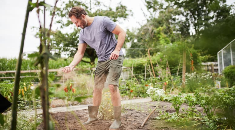 Tout ce qu'il faut savoir sur le potager