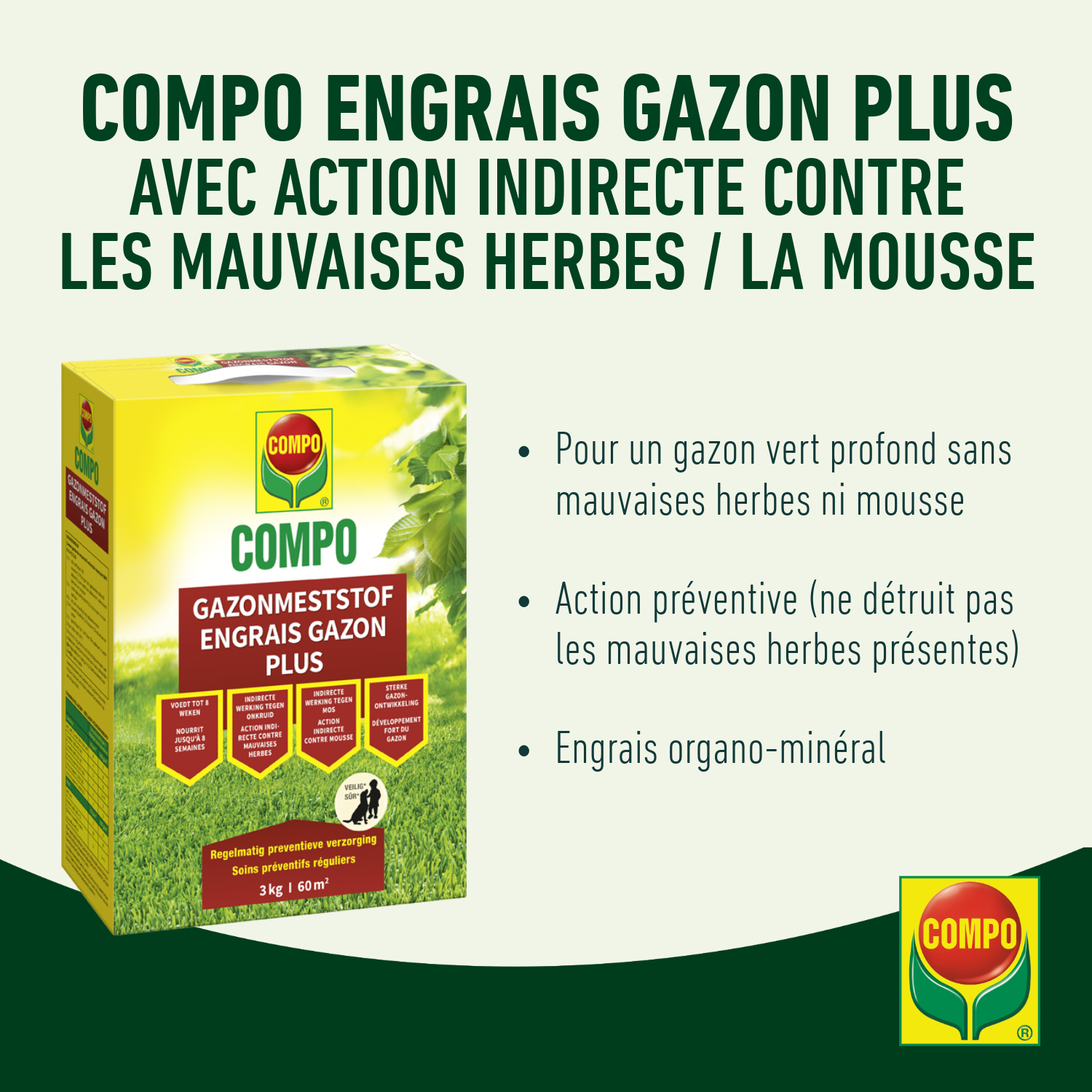 compo image