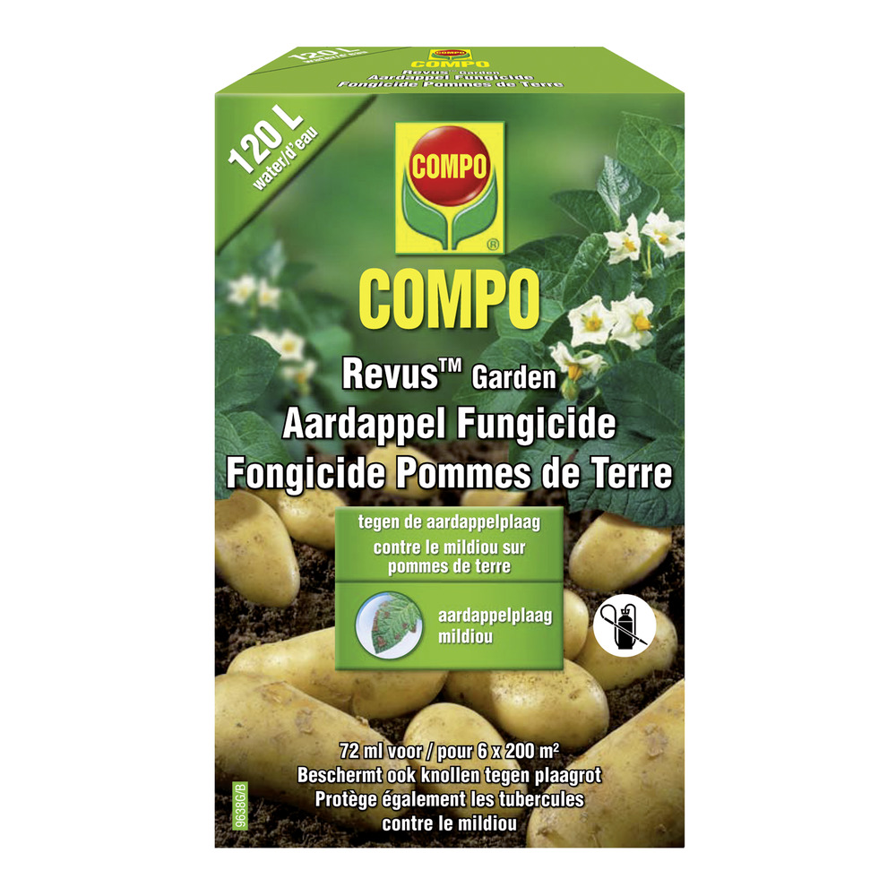 compo image