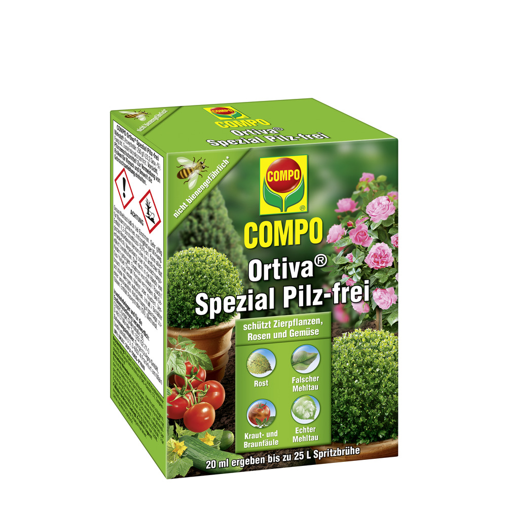 compo image