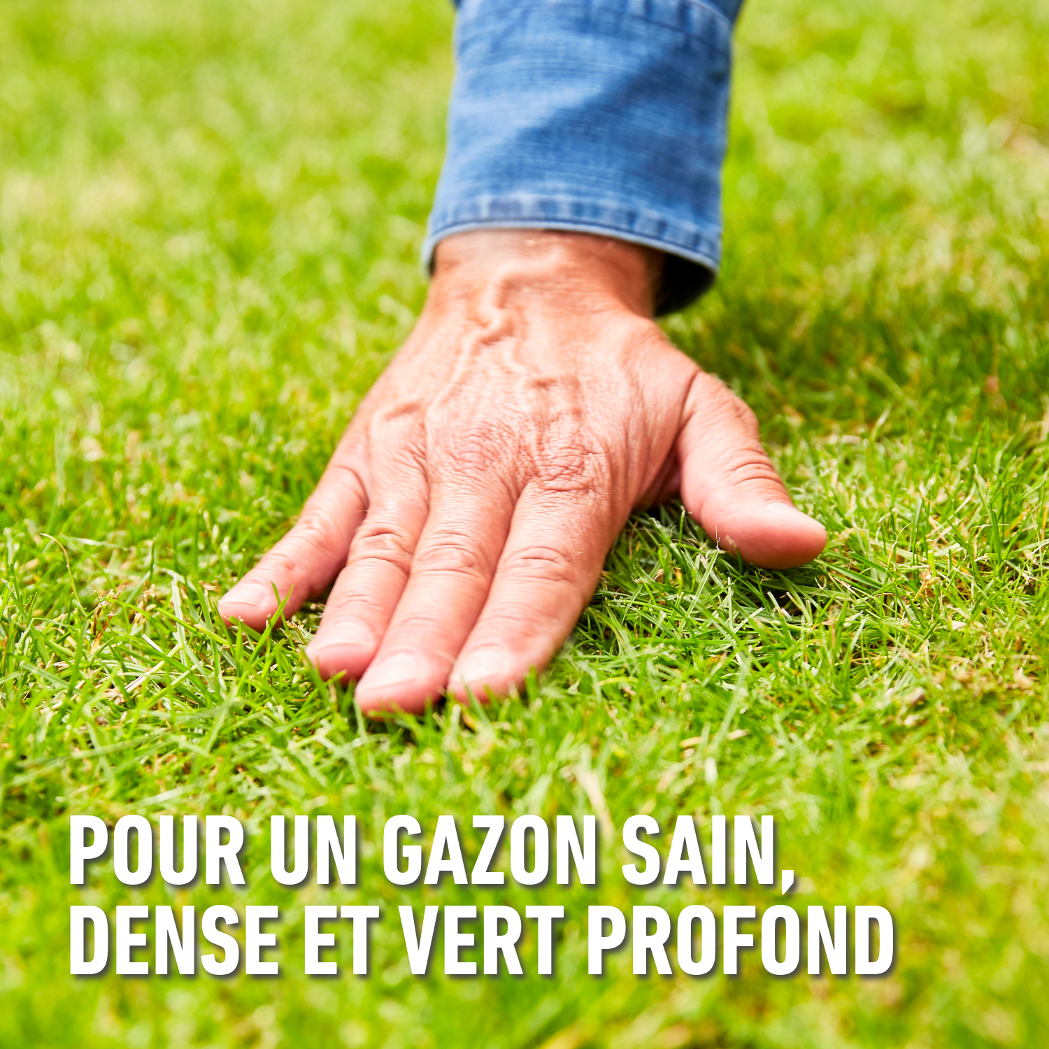 compo image