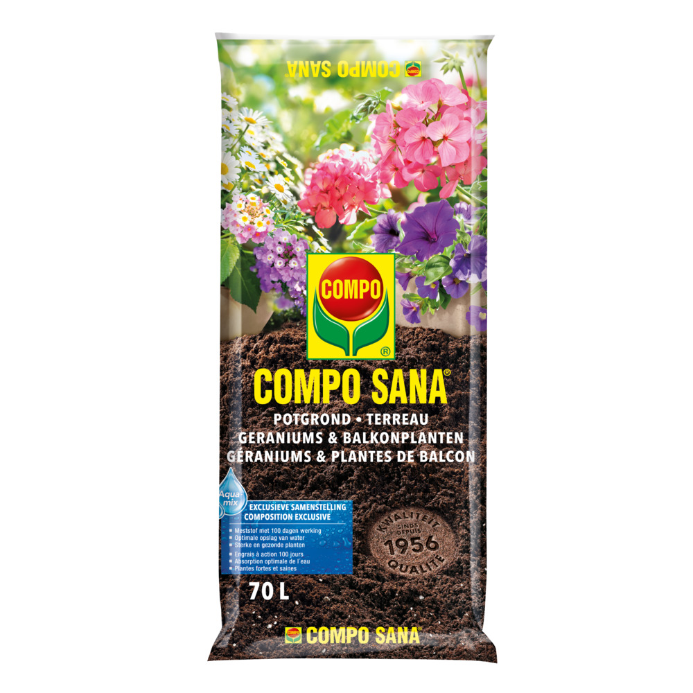 compo image