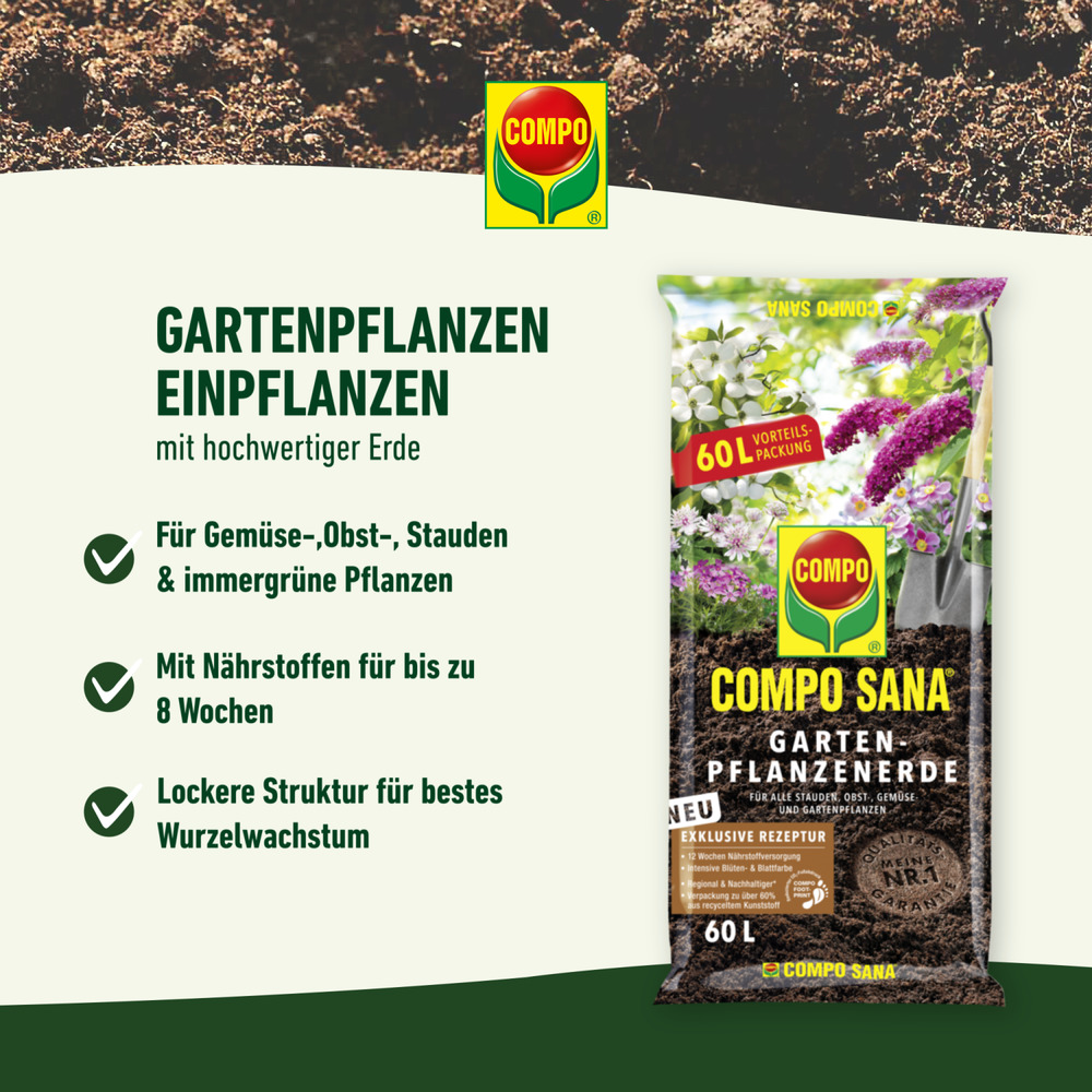 compo image