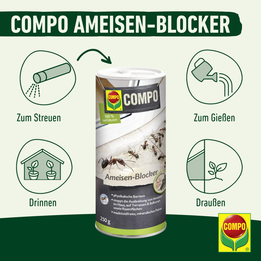 compo image