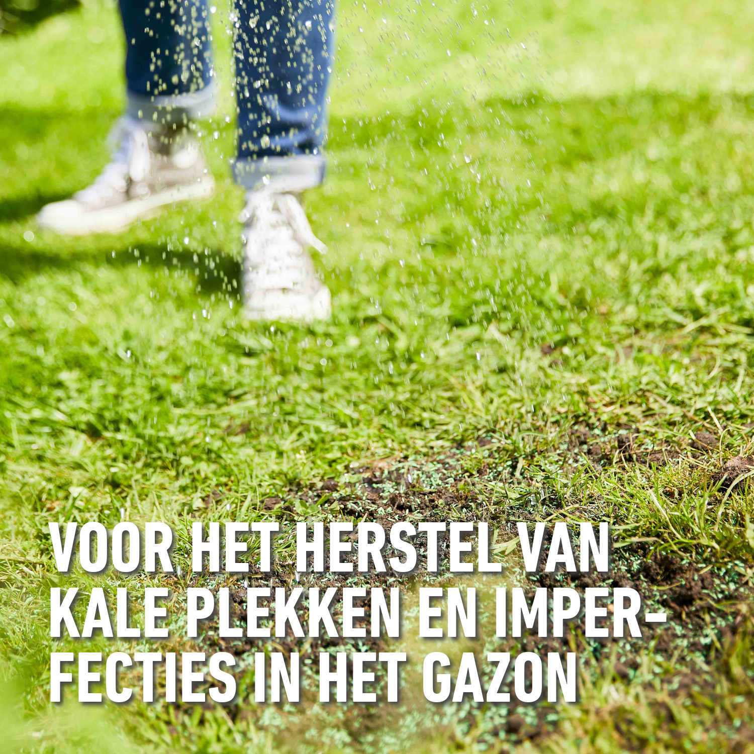 compo image