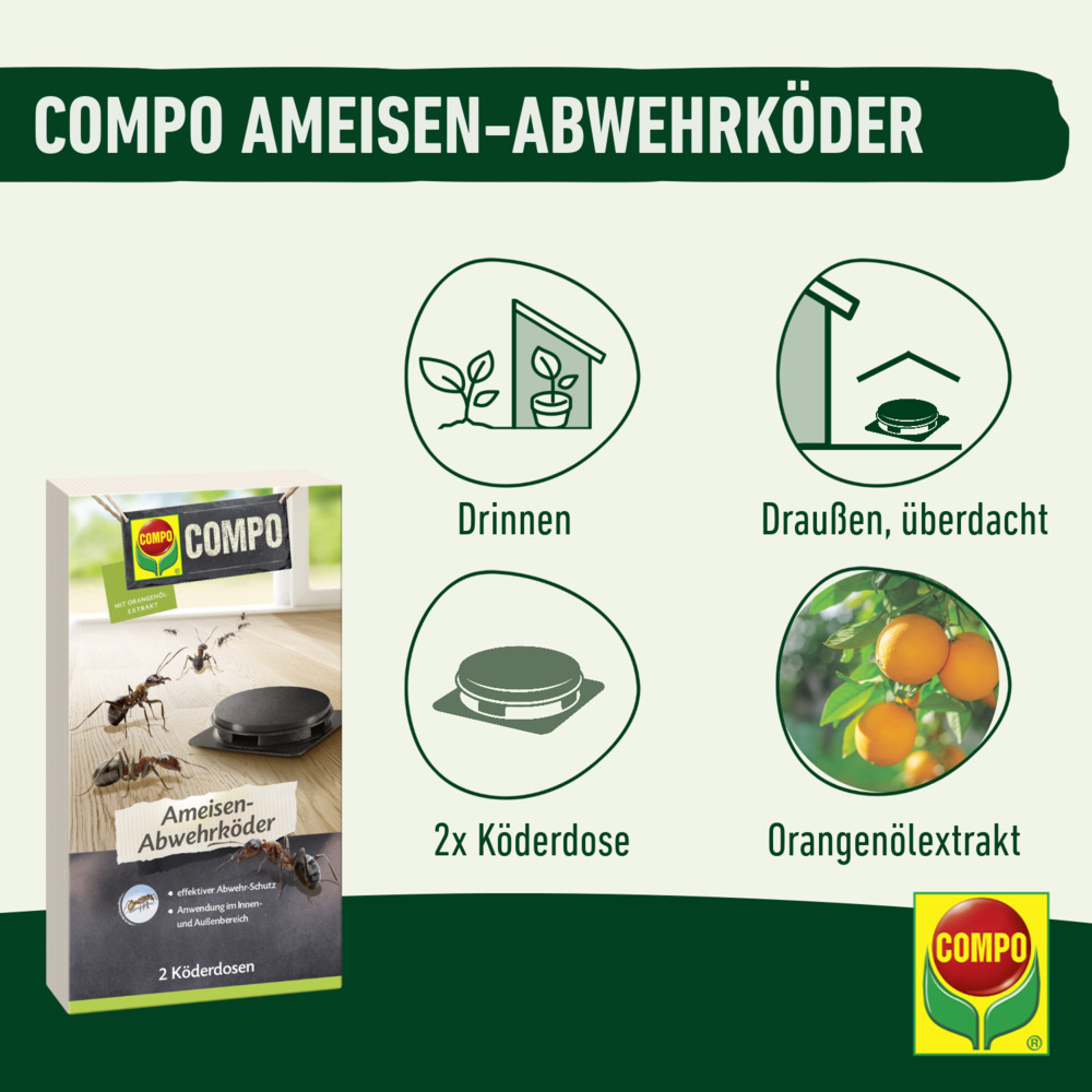 compo image