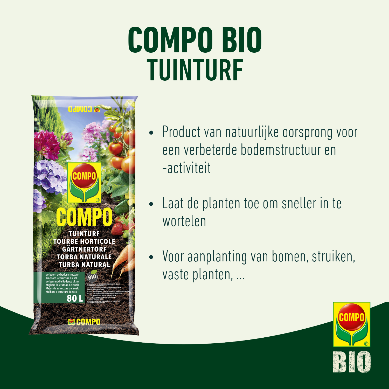 compo image