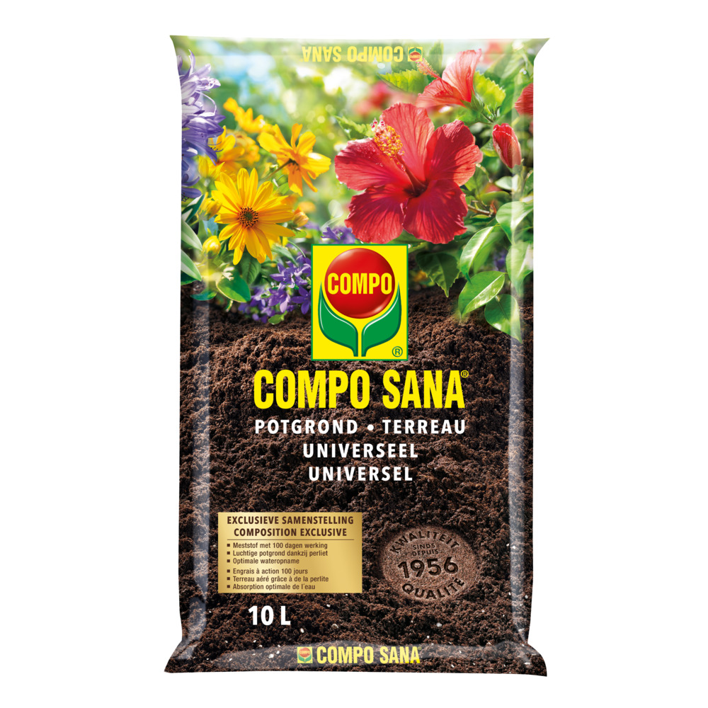 compo image