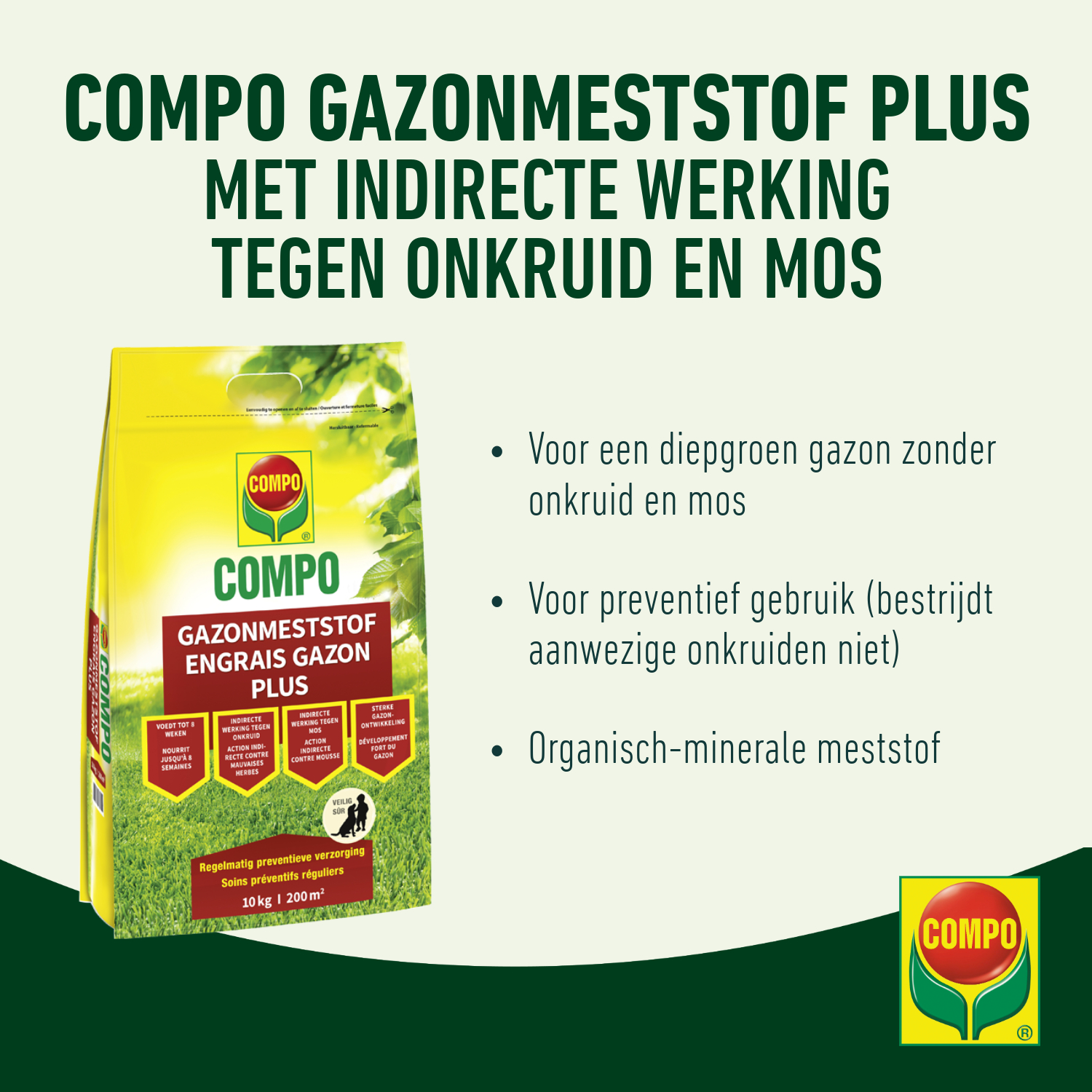 compo image