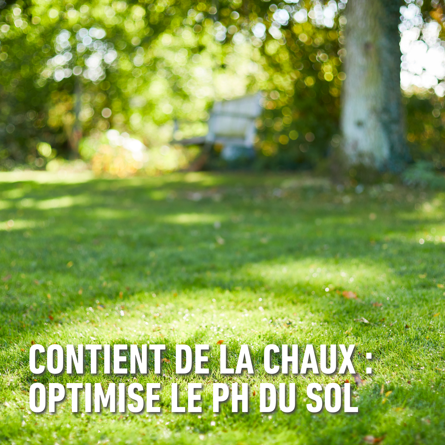 compo image