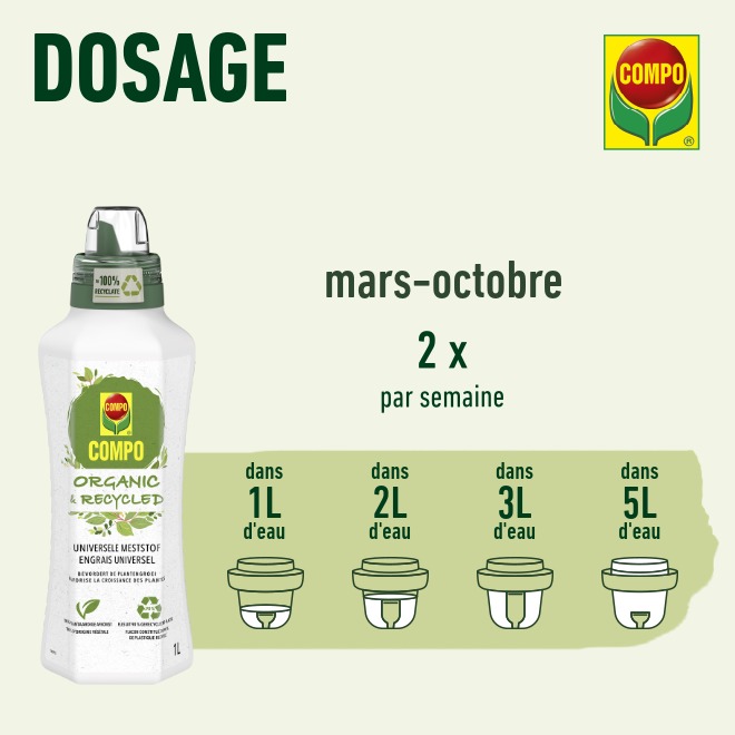 compo image