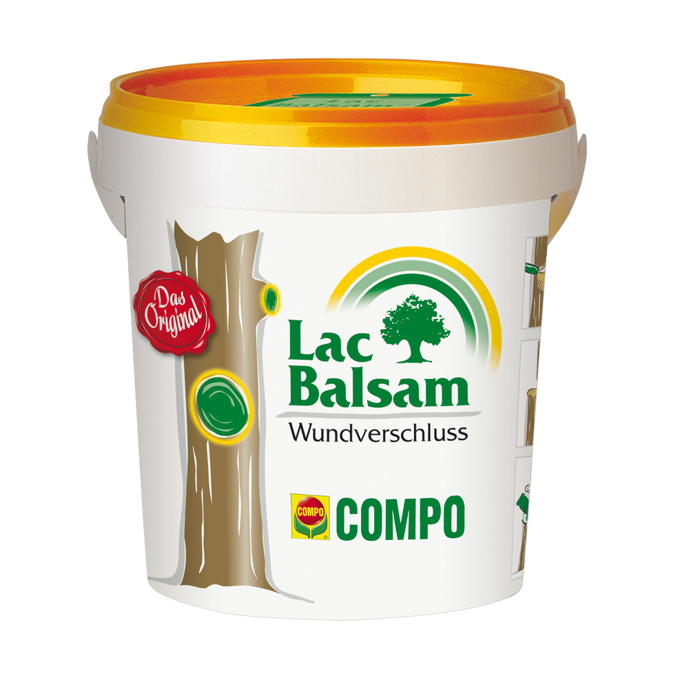 compo image