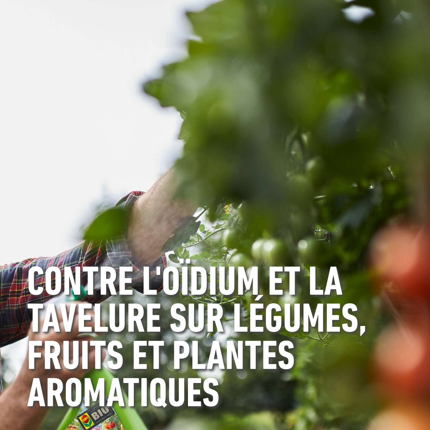 compo image