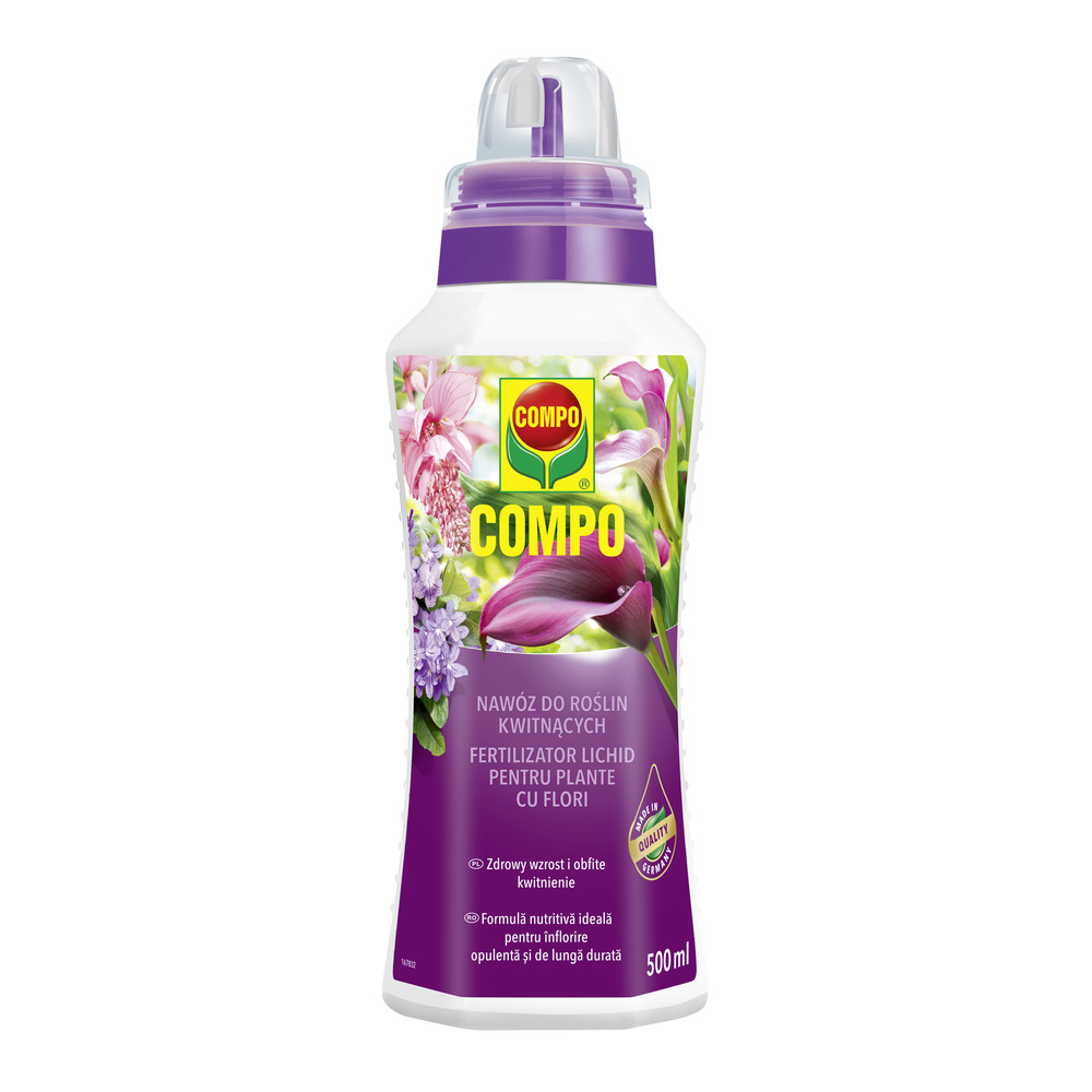 compo image