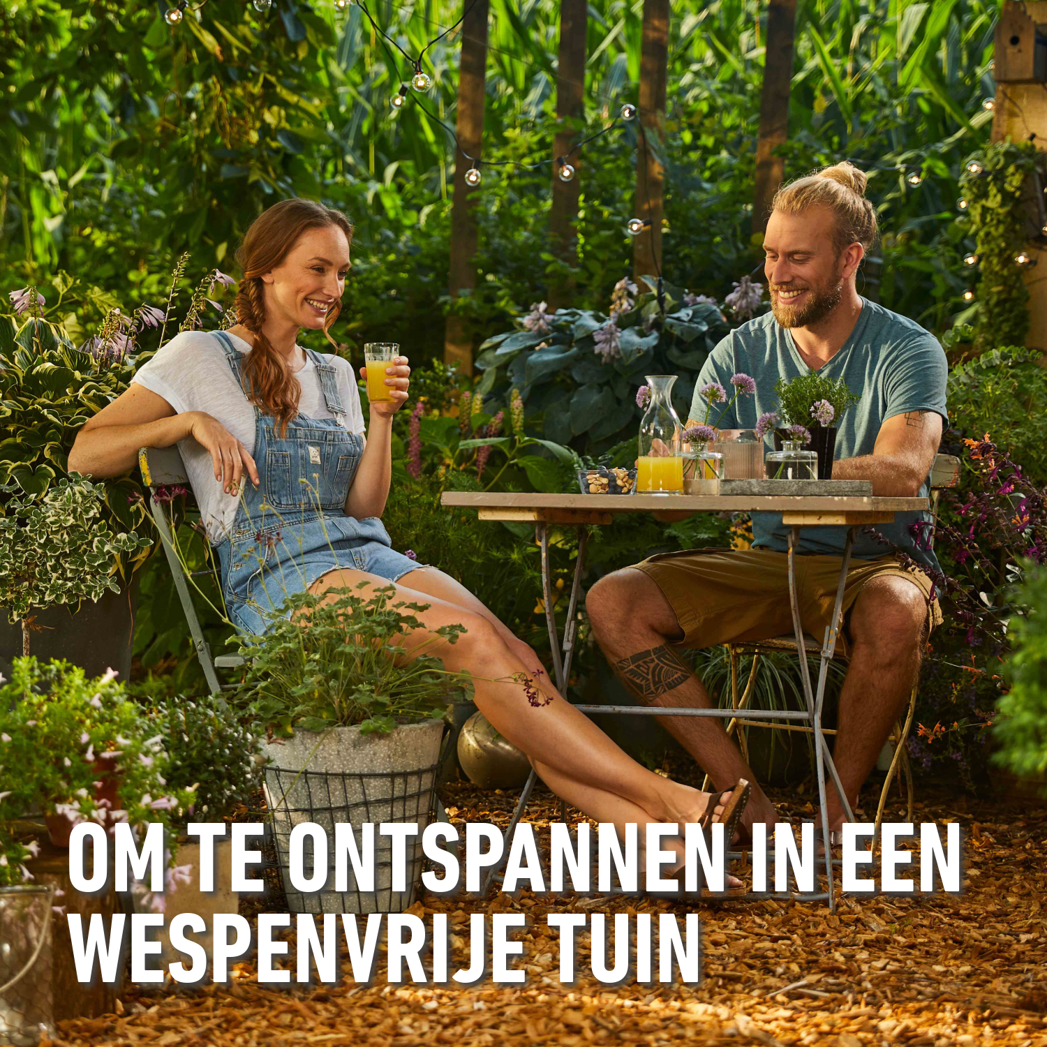 compo image