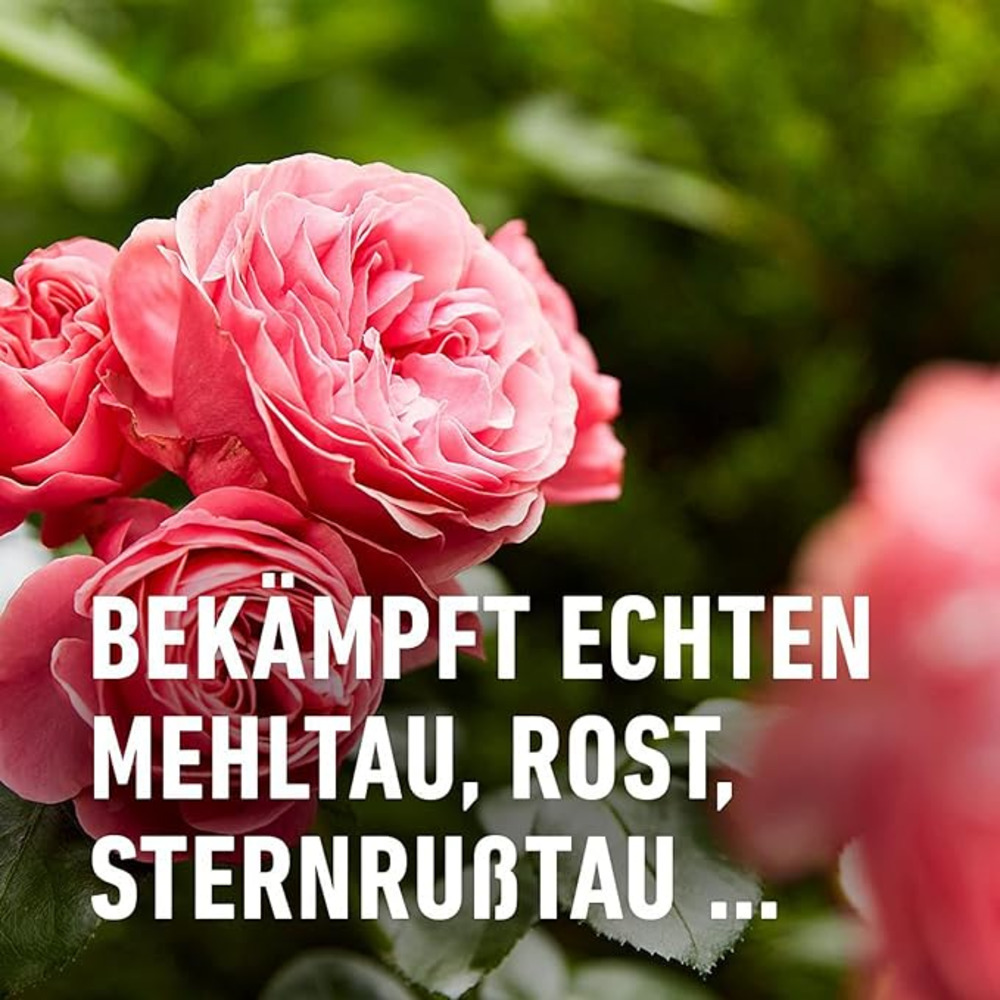 compo image
